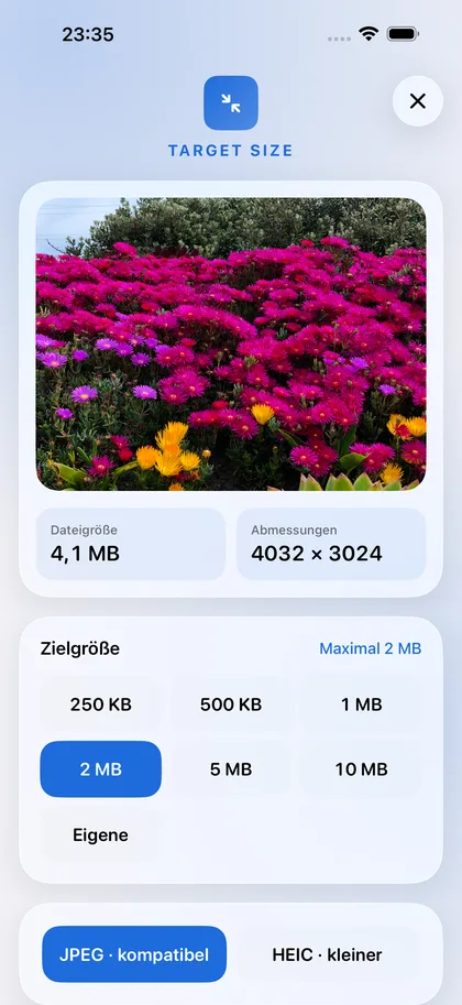 Target Size – Limit wählen: 250 KB bis 10 MB oder eigenes.