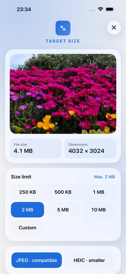 Target Size – Choose the limit: 250 KB to 10 MB or your own.